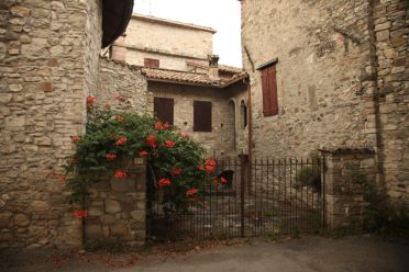 Immagine casa natale Faustino Tanara, Manzano